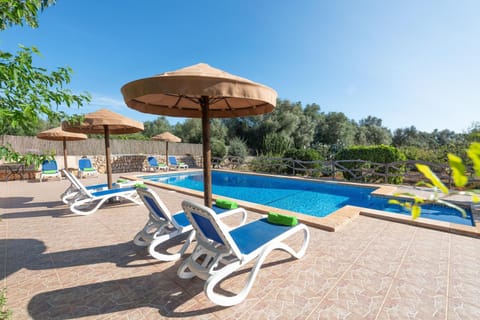 Garden, Swimming pool