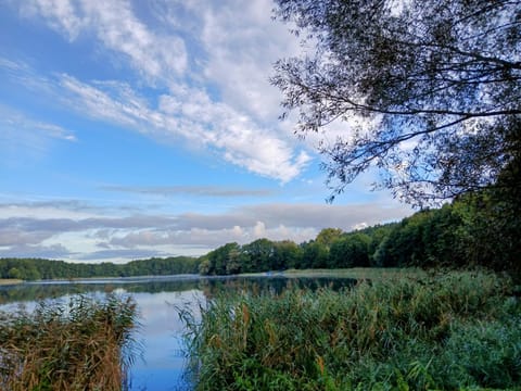 Natural landscape, Lake view