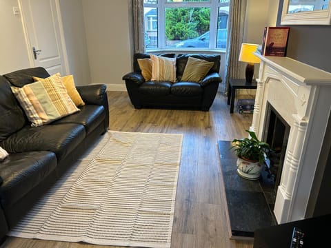 The Perfect Place House in Ennis