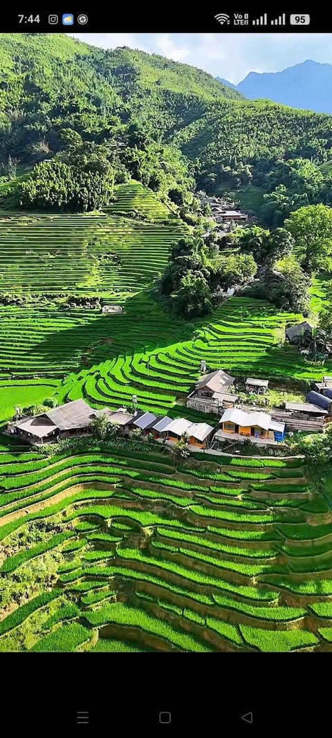 Natural landscape