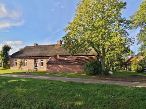 Property building, Garden, Garden view
