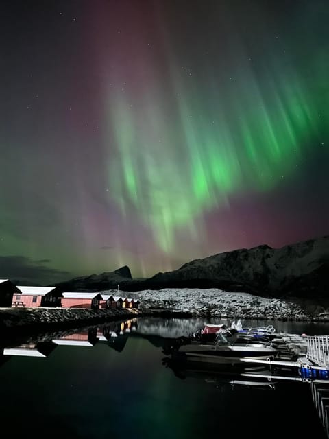 Fjordcamp Nature lodge in Nordland, Norway