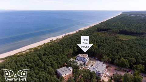 Nearby landmark, Natural landscape, Bird's eye view, Beach, Sea view