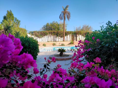 Patio, Spring, Day, Garden, Garden view, Pool view, Swimming pool