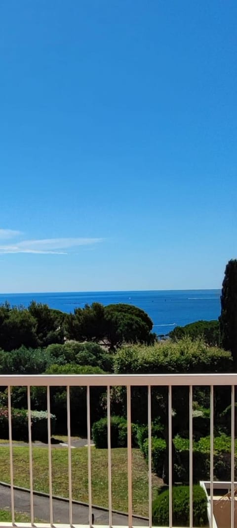 Natural landscape, Sea view