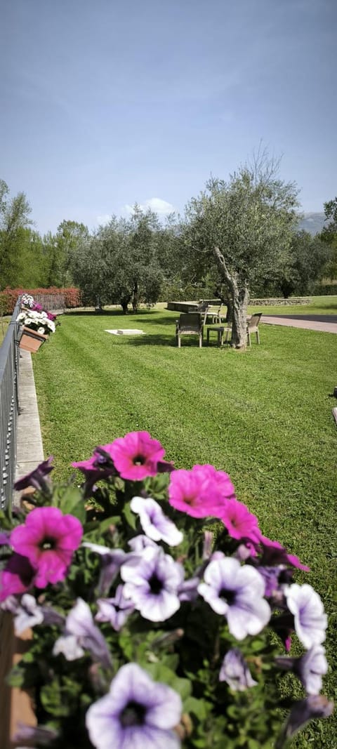 Natural landscape, Garden
