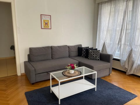 Proche de la gare de Lausanne Apartment in Lausanne