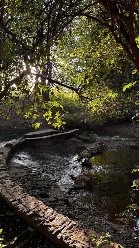 Natural landscape, Summer