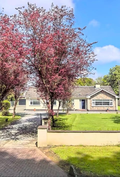 Property building, Garden, Street view