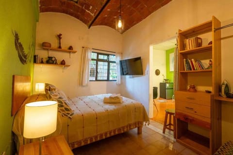 chill green beautiful downtown area TV good Wifi Apartment in Oaxaca