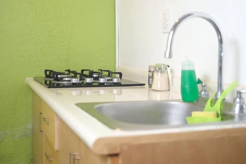 chill green beautiful downtown area TV good Wifi Apartment in Oaxaca