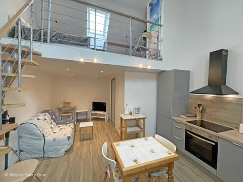 Studio duplex, nature Suisse Normande, animaux admis - FR-1-497-226 Apartment in Normandy