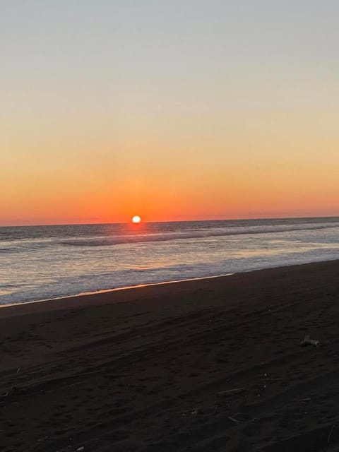 Natural landscape, Beach, Sunset
