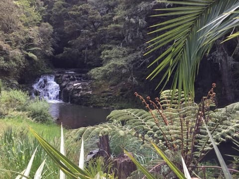 Matakana Waterfall Hideaway Bed and Breakfast in Auckland Region