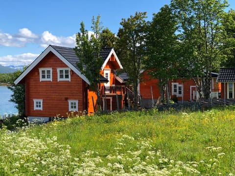 Property building, Spring, Natural landscape, Garden