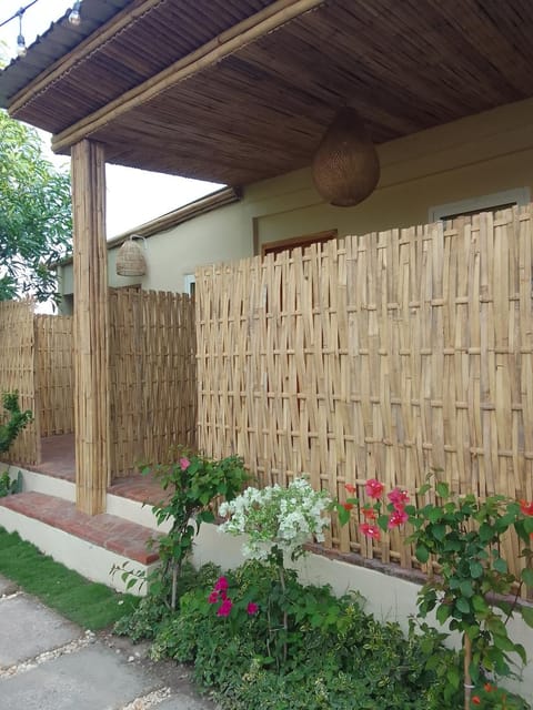Property building, Day, Garden, Garden view