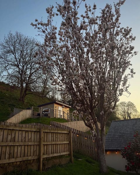 Castle View chalet Chalet in Llangollen