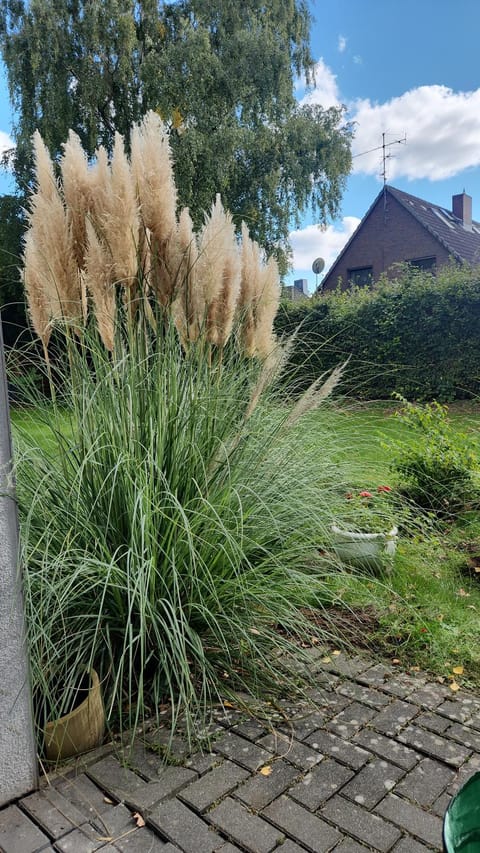 Moderne Wohnug mit Terrasse Apartment in Hamburg