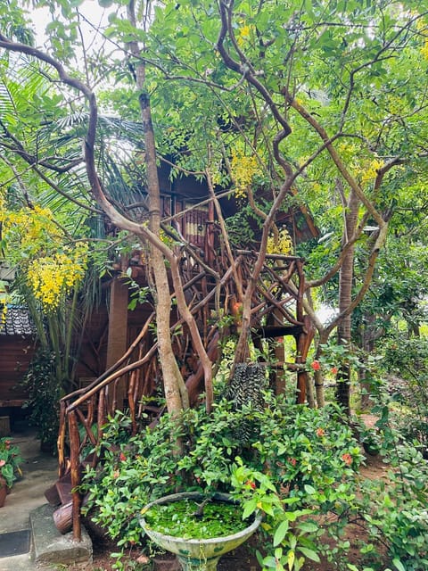 Natural landscape, Garden