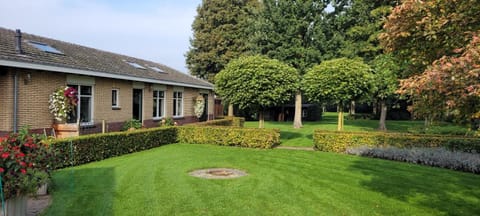 Property building, Garden, Garden view
