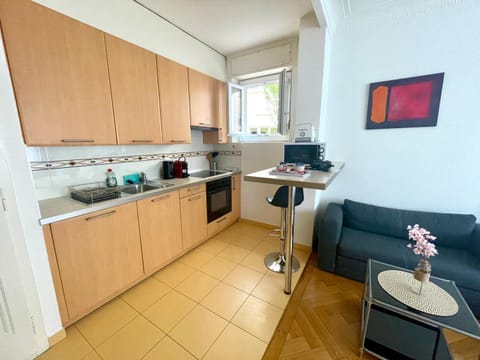 Down Town Studio Apartment in Lausanne
