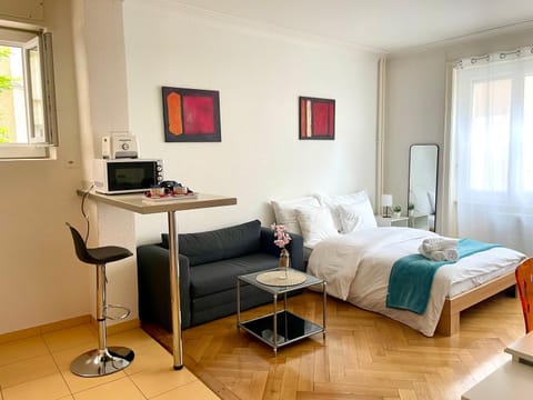 Down Town Studio Apartment in Lausanne