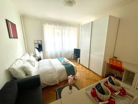 Down Town Studio Apartment in Lausanne
