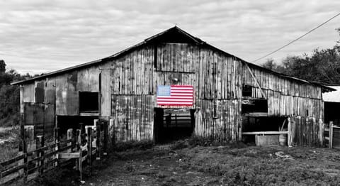 Crocketts Cabin Cabin in Columbia