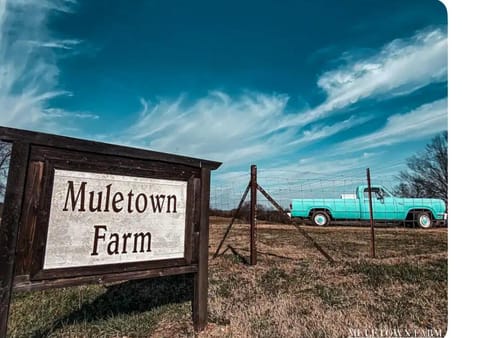 Crocketts Cabin Cabin in Columbia