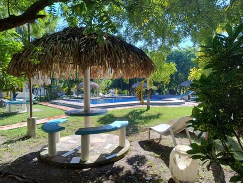 Garden, Pool view, Swimming pool