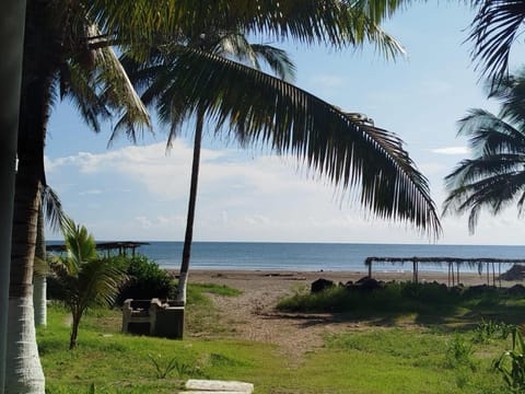Garden, Balcony/Terrace, Sea view
