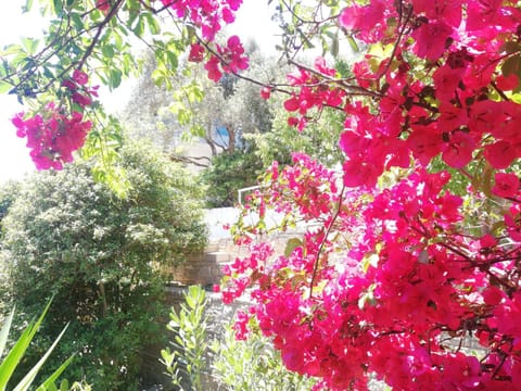 Apartments Jota Apartment in Samos, Greece