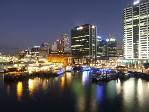 Sunbathed Penthouse With Spectacular Harbour Views Apartment in Auckland