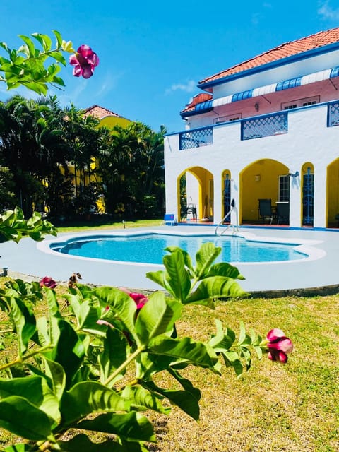 Property building, Day, Garden view, Pool view, Swimming pool