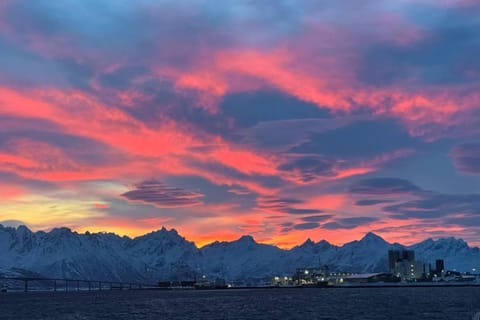 1 Bed Loft Sleeps 4 -Hot Tub Sauna & Pets Ok Apartment in Nordland, Norway