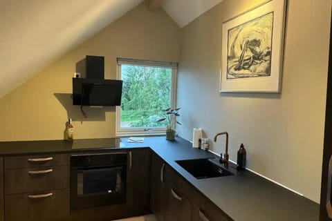 1 Bed Loft Sleeps 4 -Hot Tub Sauna & Pets Ok Apartment in Nordland, Norway