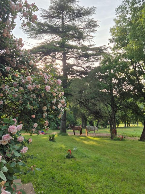 Marcart, sur le sentier du Miosson Saint Benoit Nature lodge in Poitiers