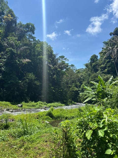 Green Pacing Lodge Bed and Breakfast in Karangasem Regency