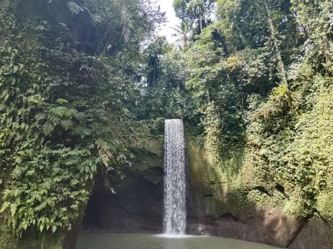 Green Pacing Lodge Bed and Breakfast in Karangasem Regency