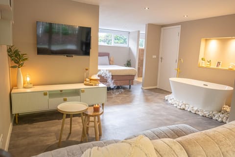 Bed, TV and multimedia, Seating area, Bedroom, Bath