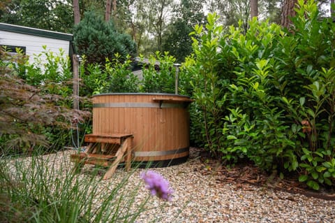 Shower, Garden, Hot Tub, Garden view
