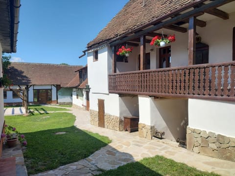 Property building, Garden, Garden view, Inner courtyard view