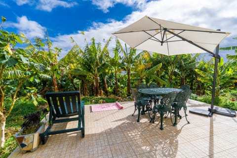 Patio, Garden, Dining area, Garden view, sunbed