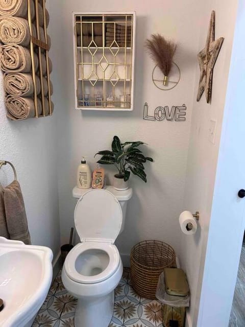 The Painted Lady-short walk to downtown square House in Brenham