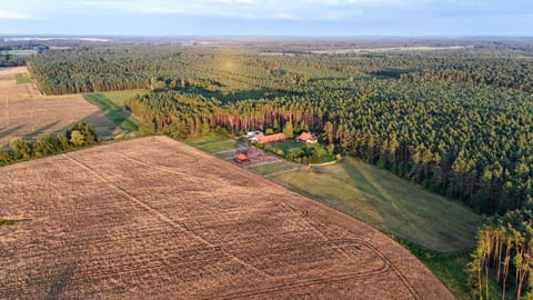 Off site, Neighbourhood, Bird's eye view, View (from property/room), Location