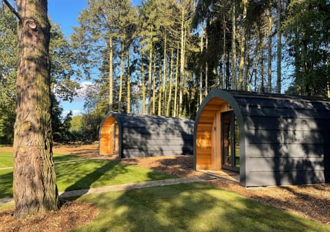 Property building, Natural landscape, Garden, Garden view