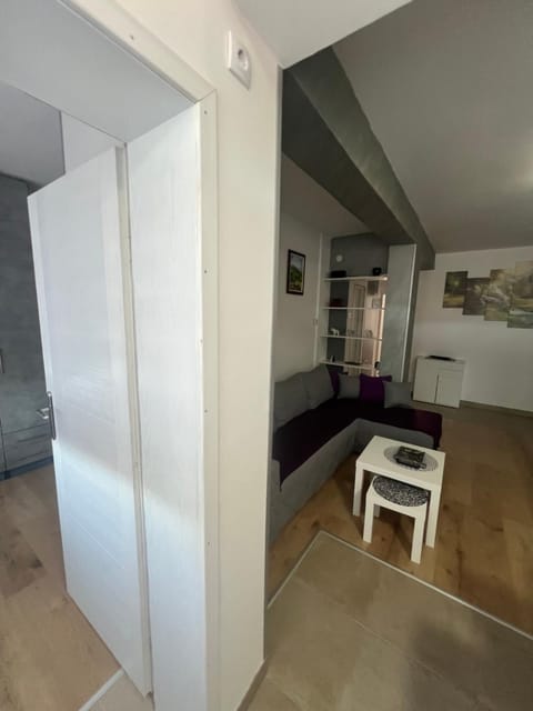 The GREEN FAMILY paradise Apartment in Zlatibor District, Serbia