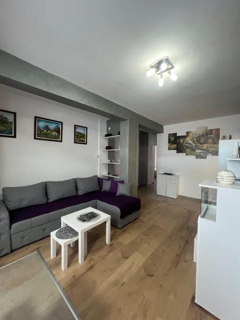The GREEN FAMILY paradise Apartment in Zlatibor District, Serbia