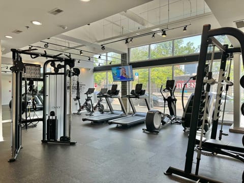 Balcony Gym 1 Garage Parking Sleeps 12 Apartment in Chicago