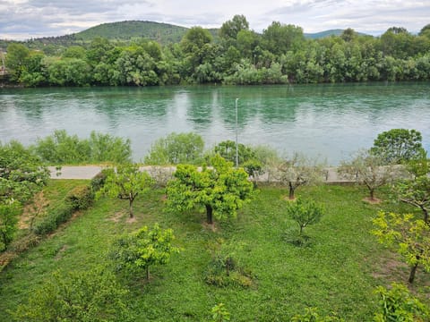 Natural landscape, Garden, Garden view, River view